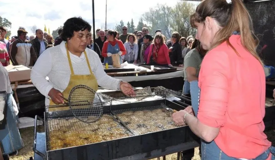 20231012083038_torta-frita