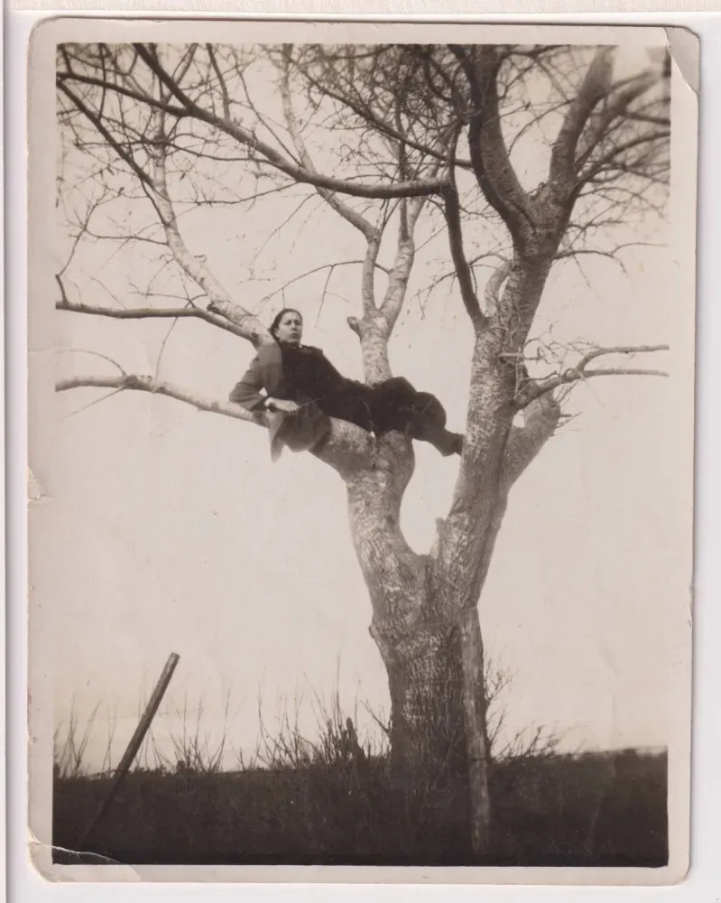 el-cine-movil-con-debate-present