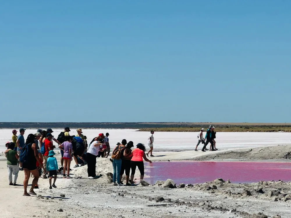 WhatsApp Image 2026-02-21 at 22.53.113