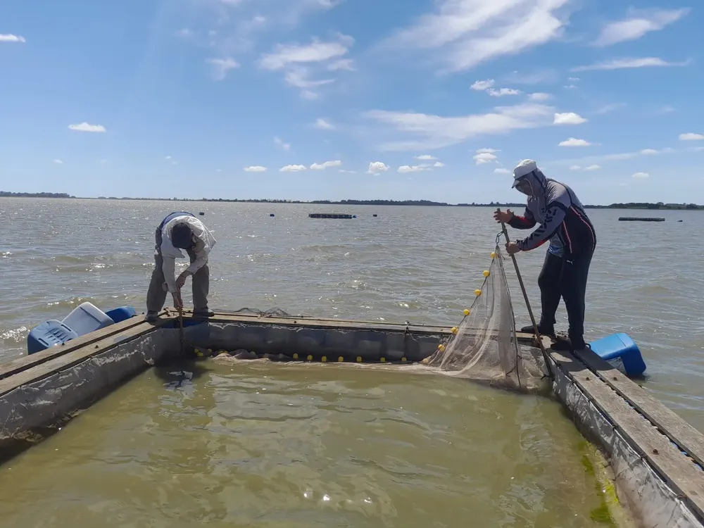 485783885_1070821591735915_1633919067895461673_n