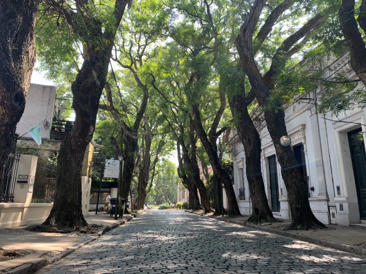 casco_historico