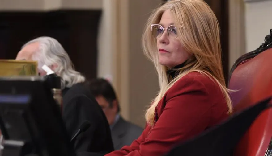 20250711131333_0b-lyho3