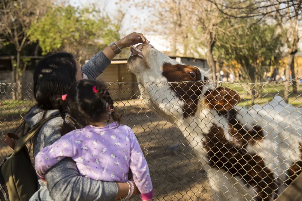 51331537790_7ae3a5fd1d_k