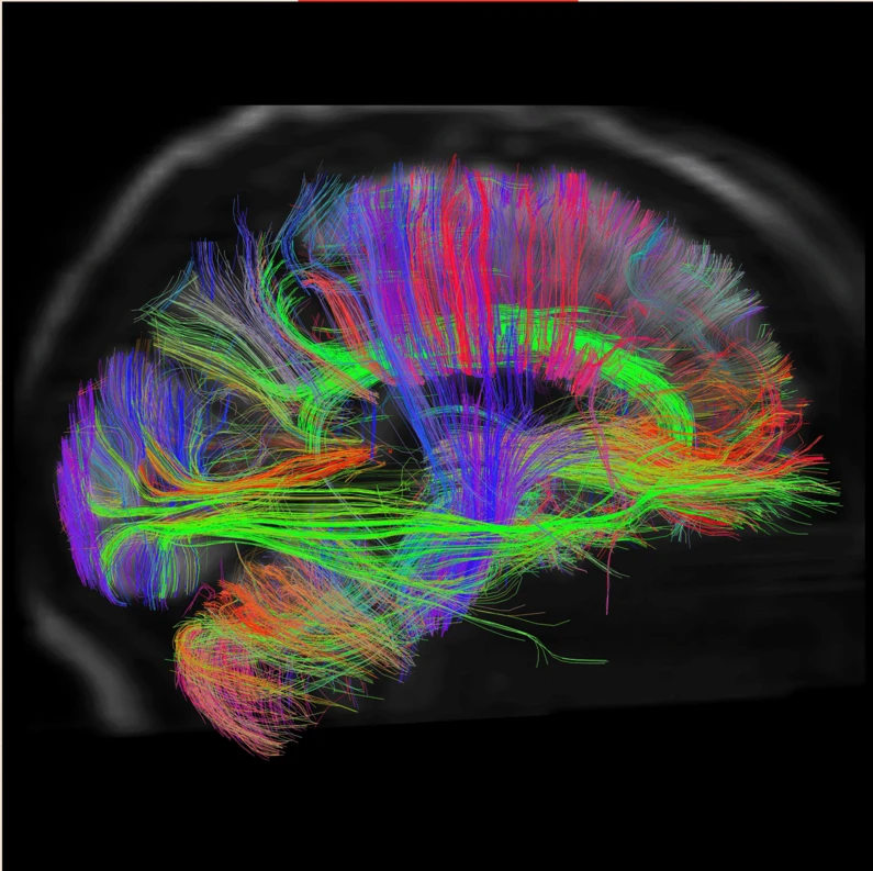 9cdbace0-3a37-11f0-8519-3b5a01ebe413.png (1)