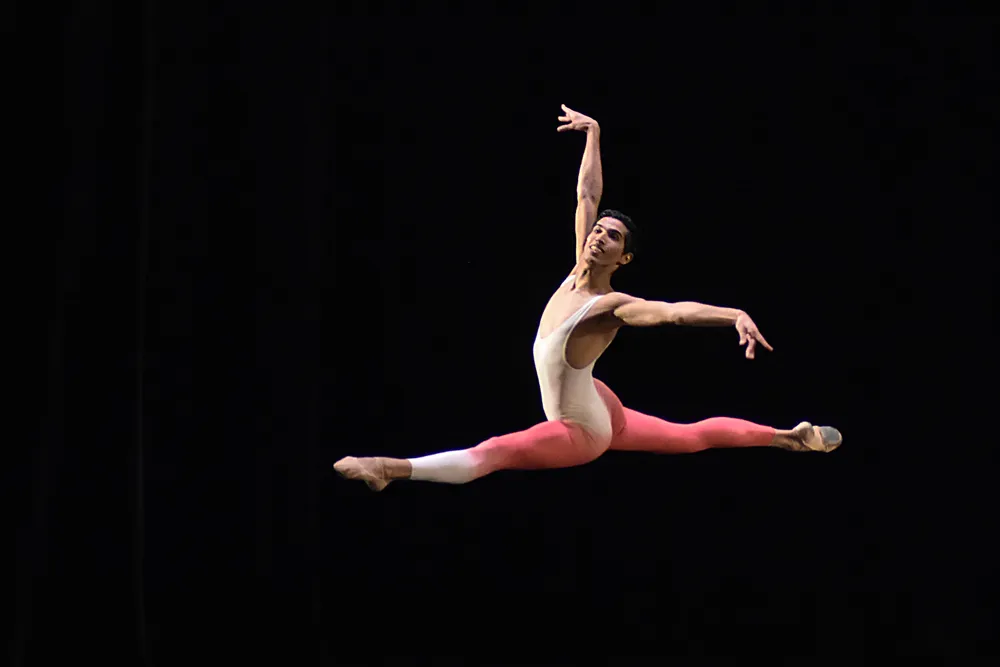 Flores para una elegía 7