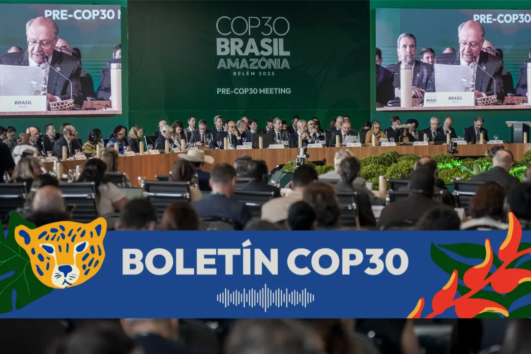 image-1200-9e2443f85599b98a4650227403725a7f