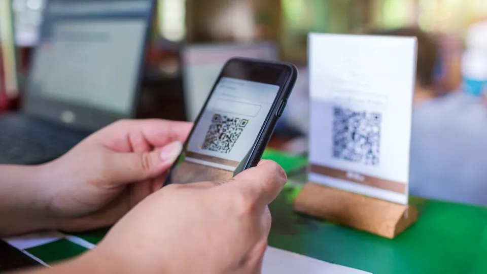 WhatsApp Image 2025-07-01 at 10.08.18