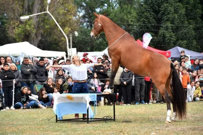 Fiesta-de-la-Tradicion-y-el-Asado8-700x467