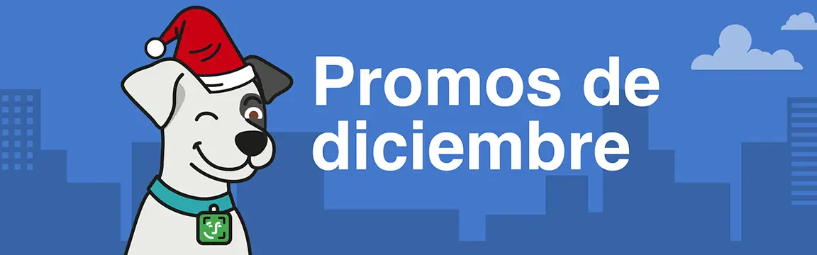cabezal_CDNI_dic_L