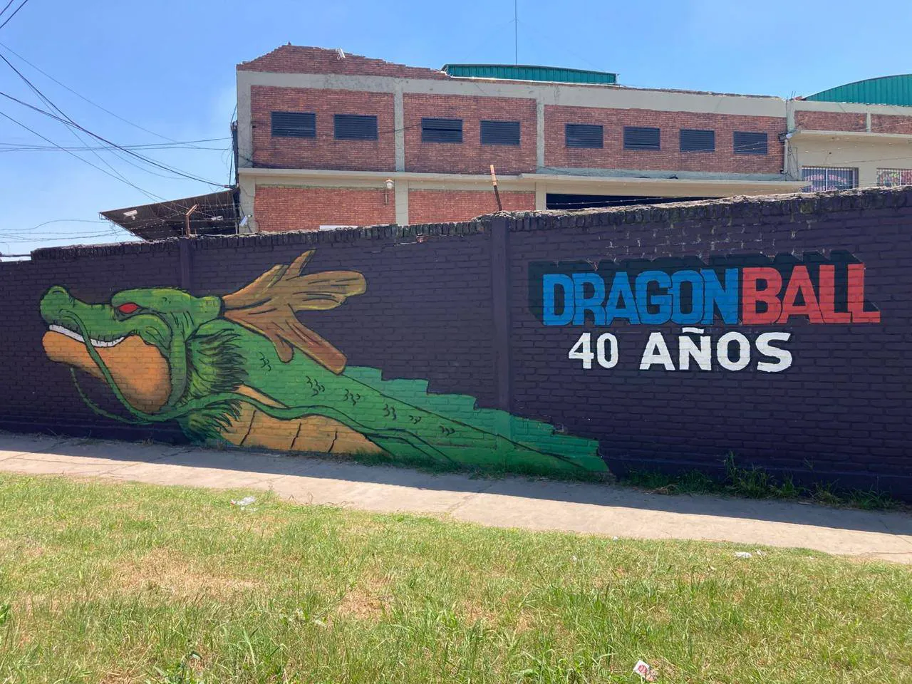 611009446_877647494911233_5974113124624404589_n