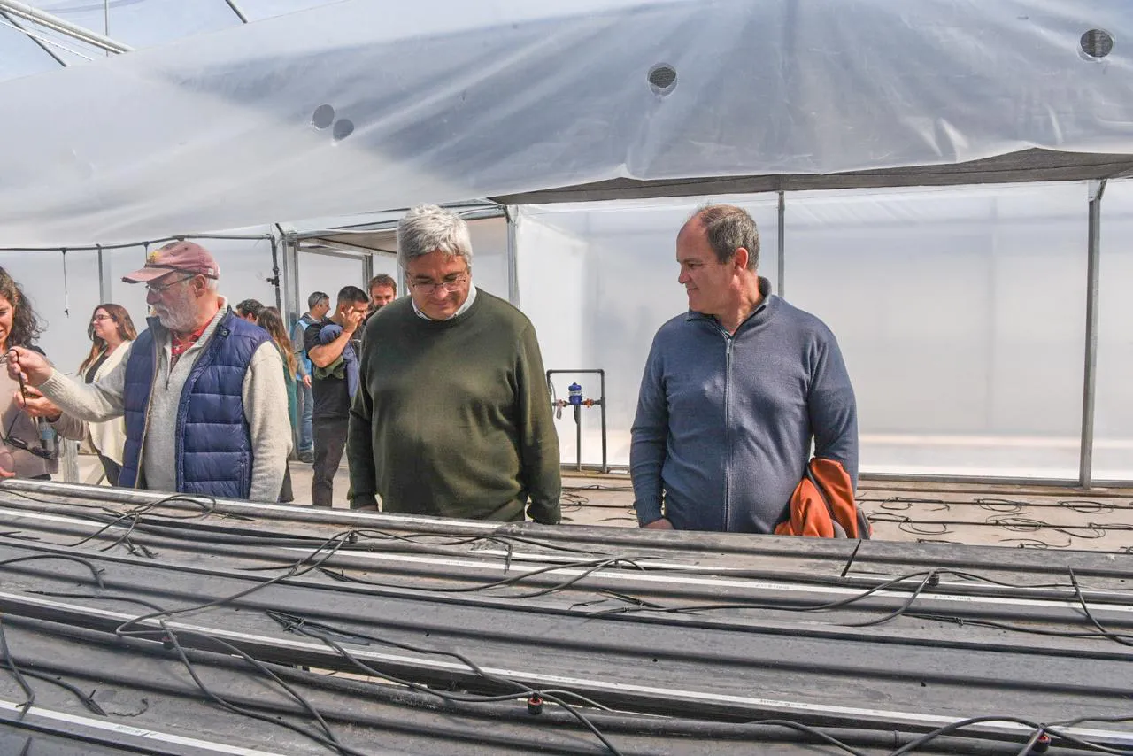 WhatsApp Image 2025-10-07 at 19.40.52 (3)