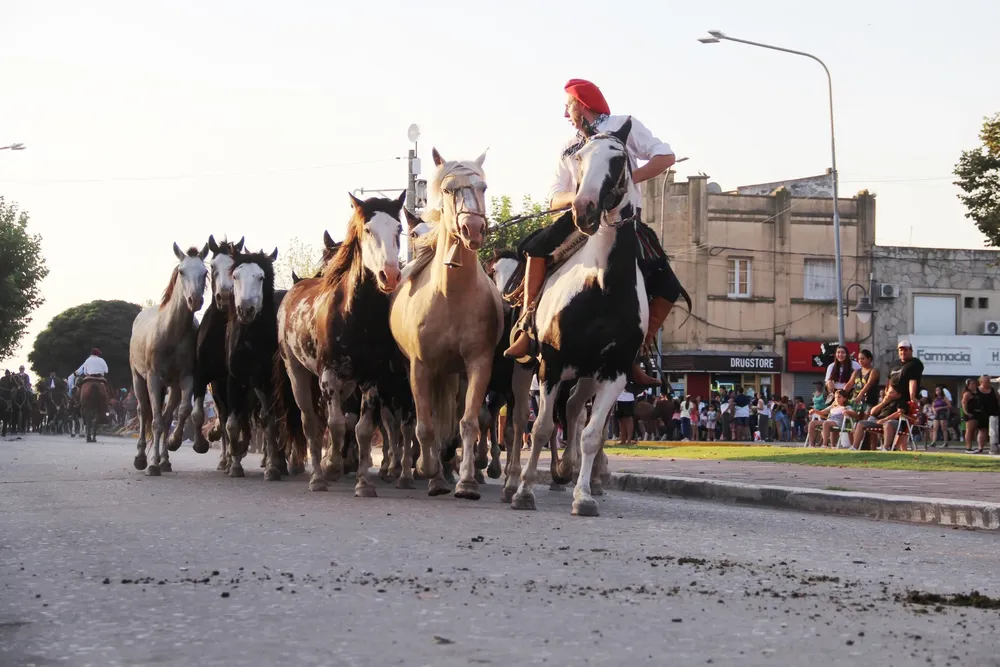 646566288_1342007597963227_7143326678623893643_n (1)