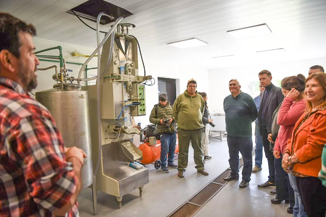 minibuses y usina (4)