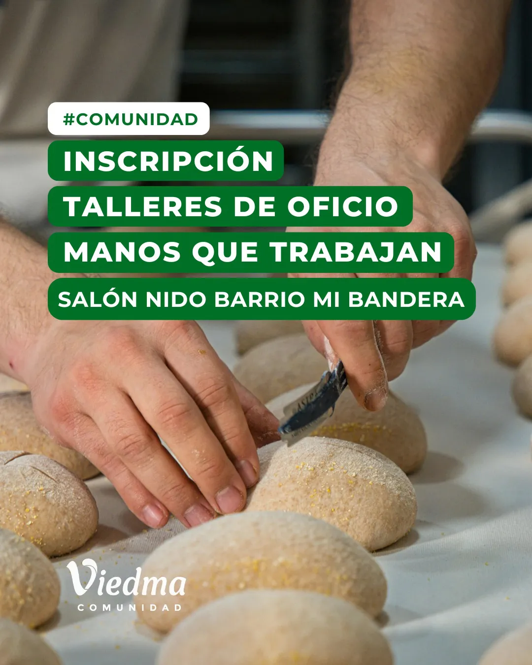 552302760_1275303704637506_869698573689491326_n