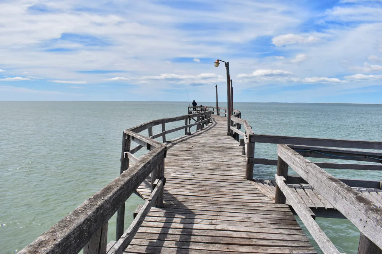 WhatsApp Image 2026-01-12 at 13.30.21 (1)