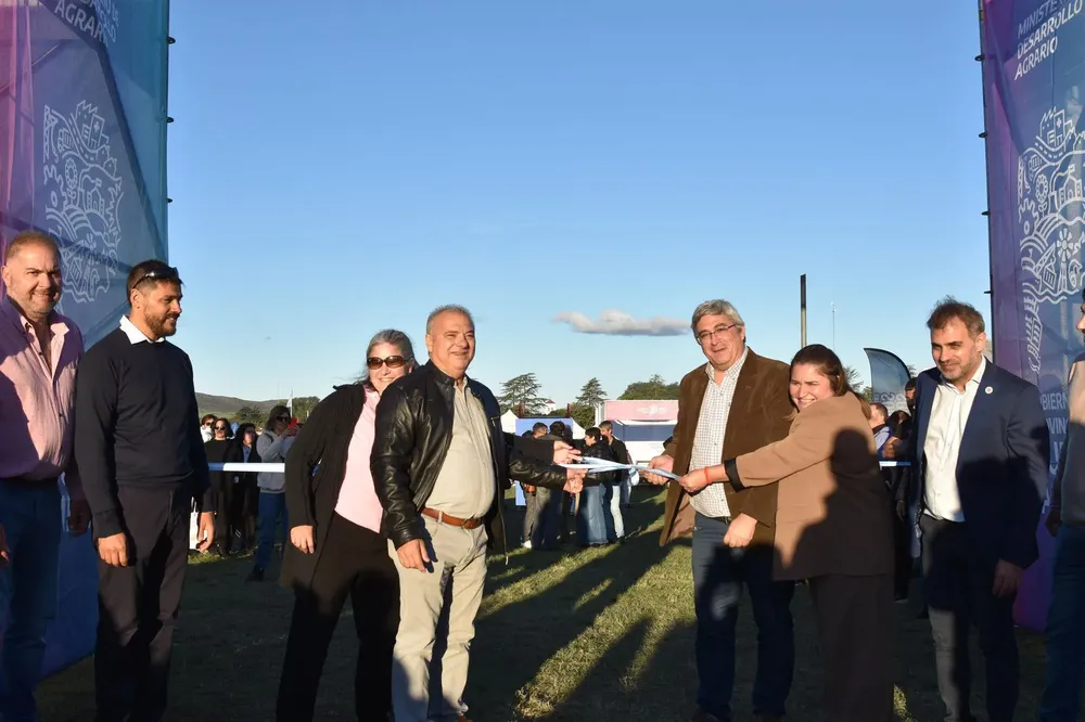 WhatsApp Image 2025-04-14 at 07.11.39