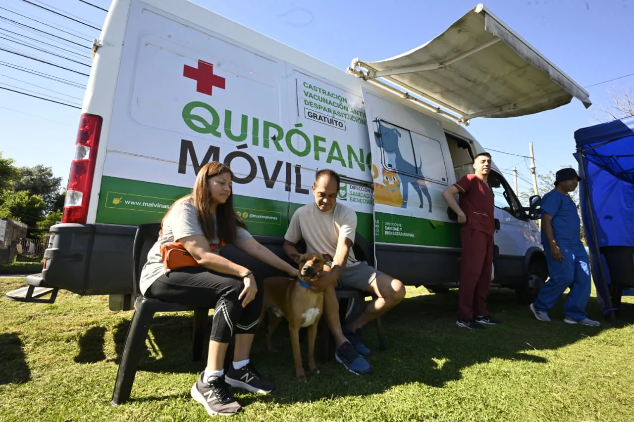 WhatsApp Image 2025-11-17 at 4.26.02 PM (3)