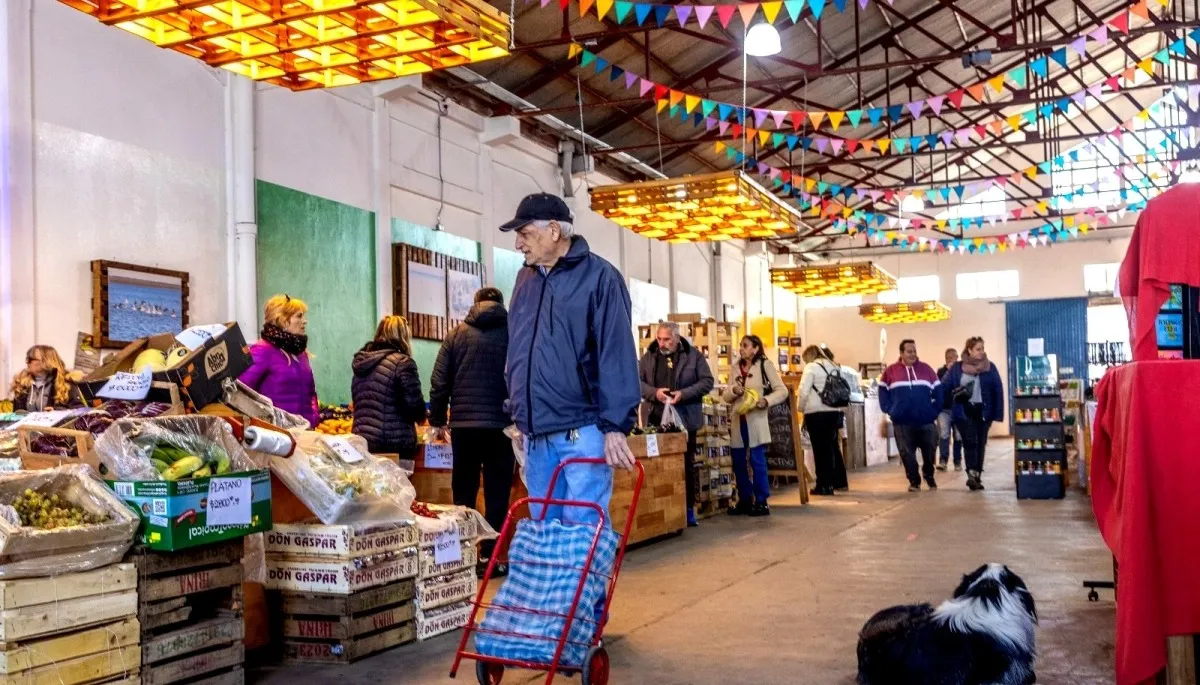 20240816120602_portada