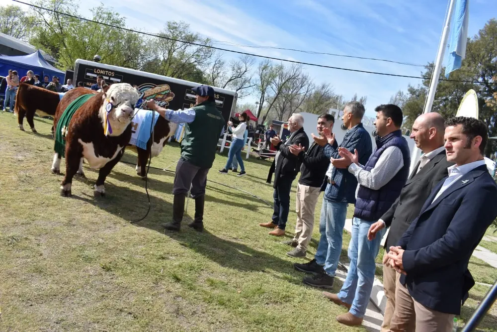 Imagen de WhatsApp 2025-09-14 a las 15.05.29_8289d7ba