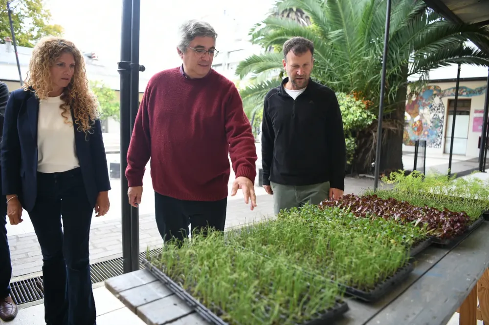 WhatsApp Image 2025-10-28 at 12.10.09