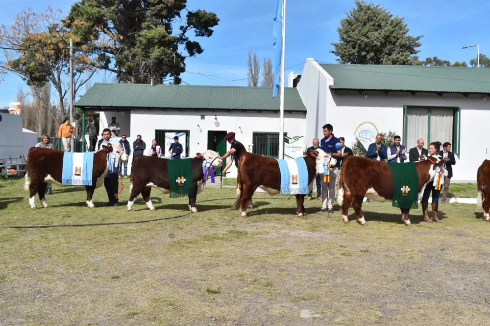 Imagen de WhatsApp 2025-09-14 a las 15.05.29_77463d24