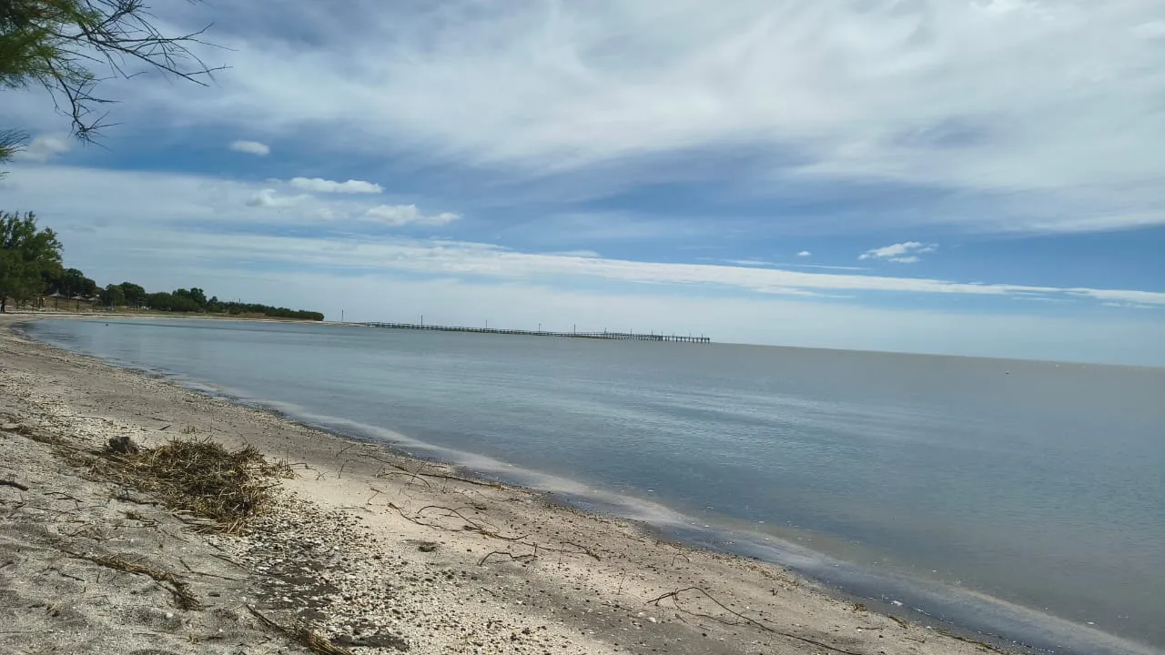 WhatsApp Image 2026-01-12 at 13.30.20