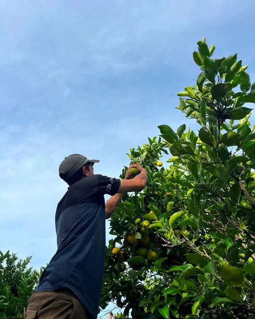 654900956_1355449243285729_7056055126990583641_n