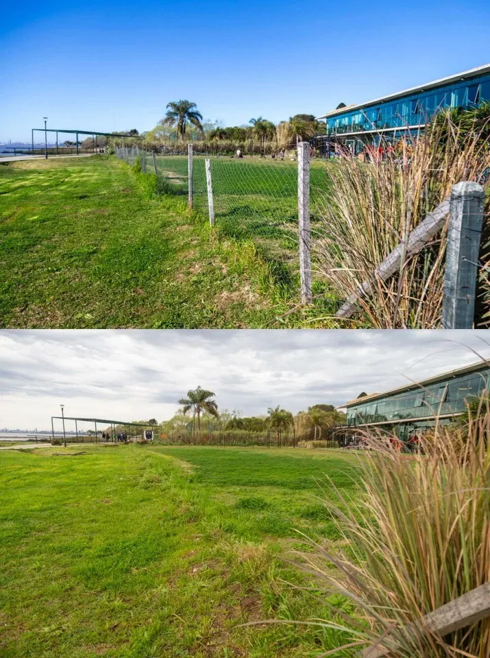 68b85a1999205_715_960