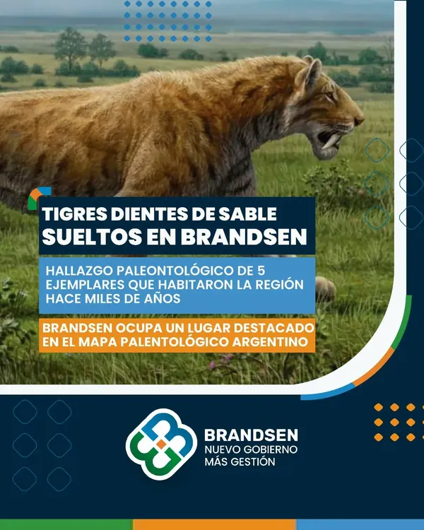 625047750_18502930702077807_5282486681545274114_n