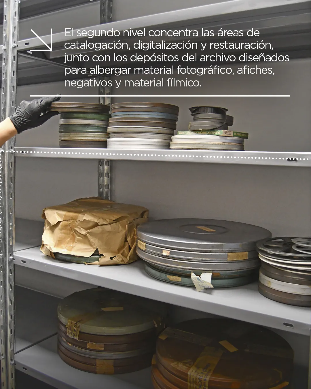 631160403_1451362243016506_4988321304038680045_n