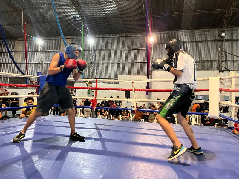 boxeo2