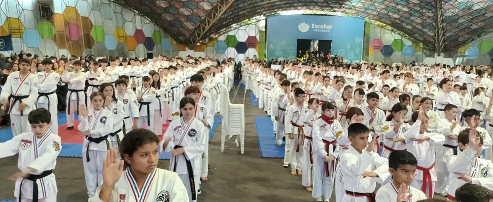 taekondo