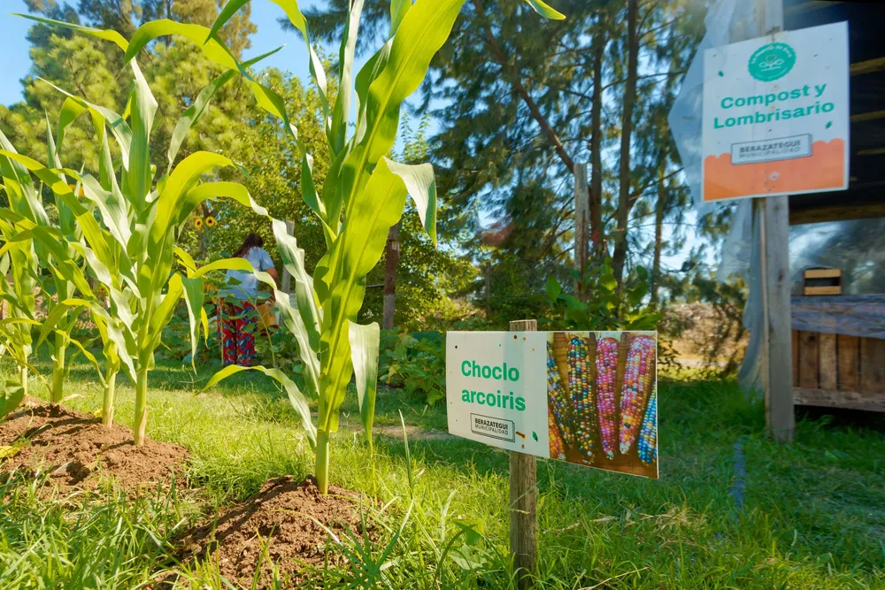 20260115Recorrido_La_Huerta_Bera_CA_041