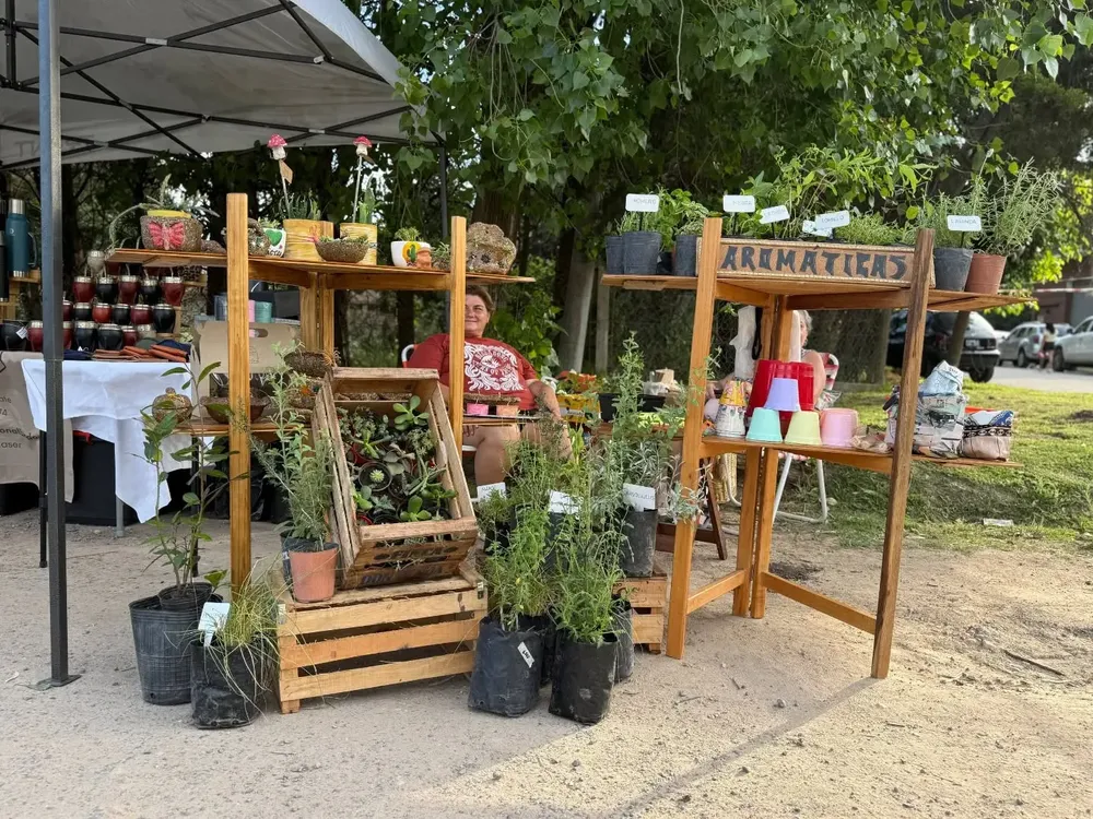 581399511_18519546076064628_5051171021849793089_n