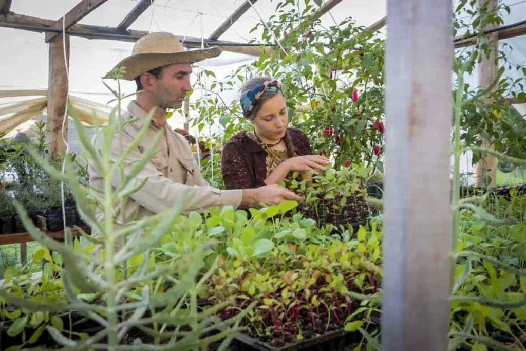 somos-red-misiones-02-1024x683
