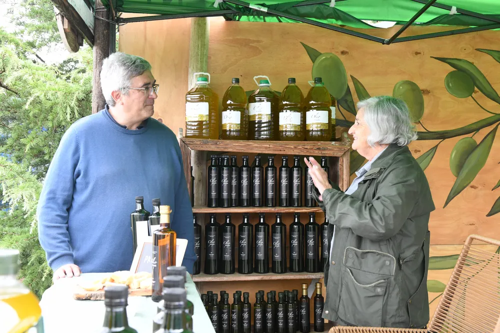 Dorrego Fiesta Olivo (2)