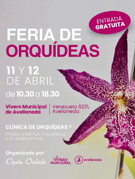 667353720_1420829810087223_1729972535059882230_n