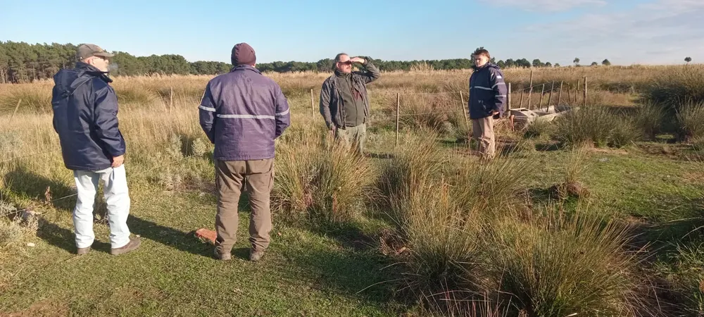 Imagen de WhatsApp 2025-07-25 a las 12.19.16_30abcfce