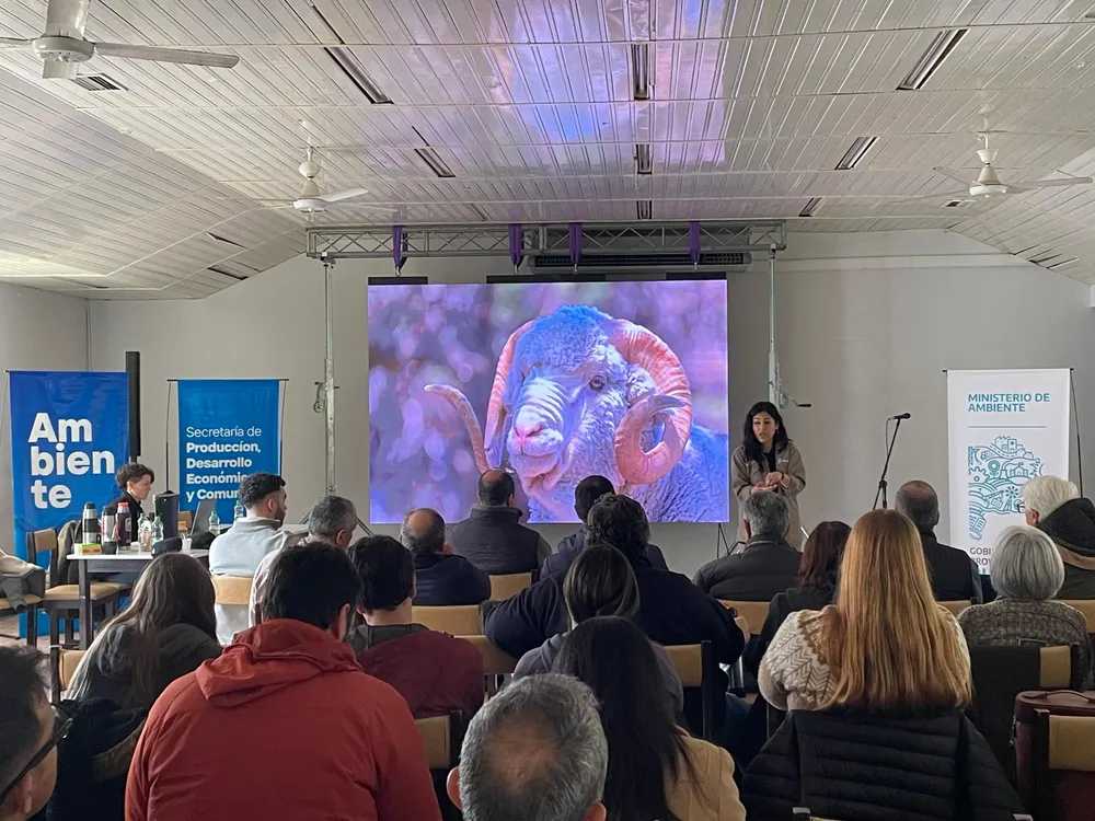 Imagen de WhatsApp 2025-08-05 a las 09.27.52_dc818113