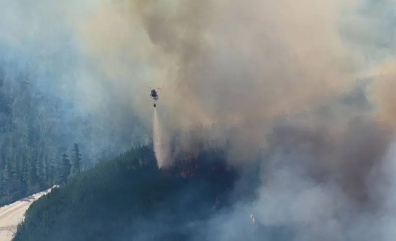 WhatsApp Image 2026-01-06 at 08.53.55 (1)