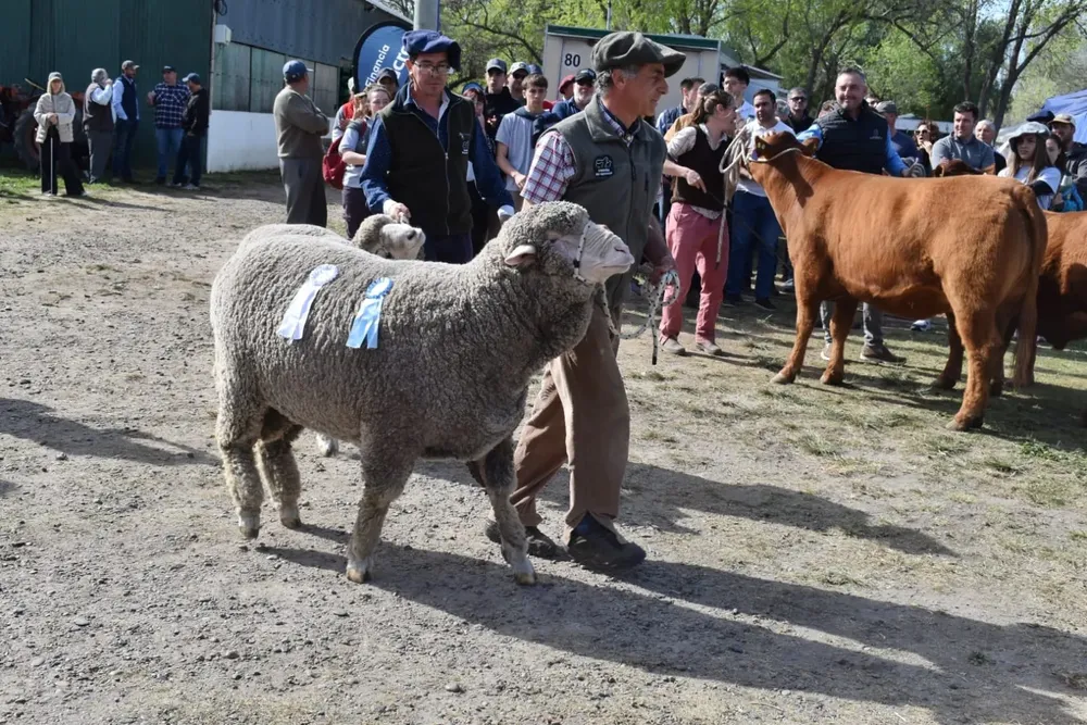 Imagen de WhatsApp 2025-09-14 a las 15.05.30_117b85ac