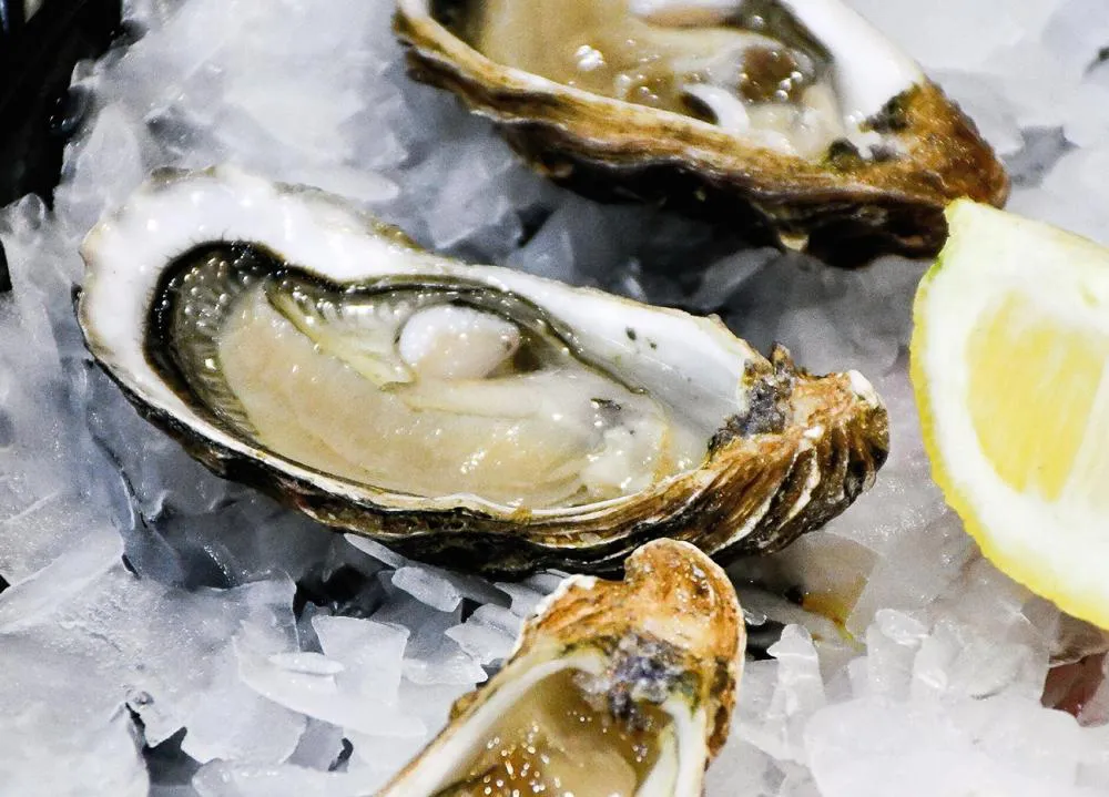 10_thumbnail_fiesta_provincial_de_la_ostra