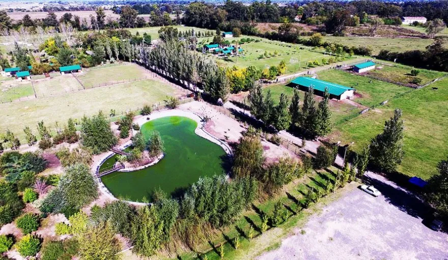 20220908144858_feria