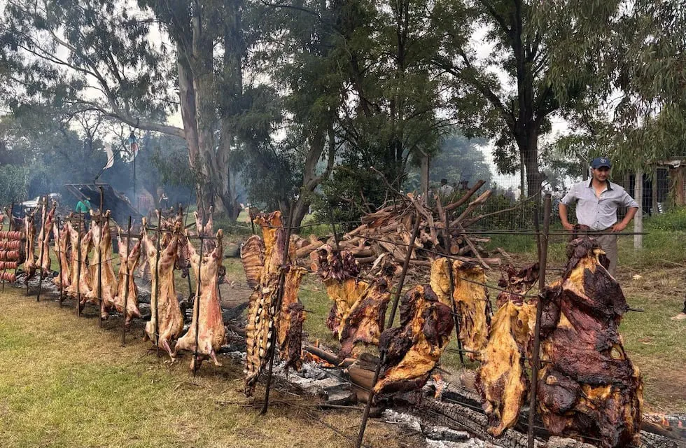 LDNJ7FGTEJCG3NXLUTMIFRJXCY