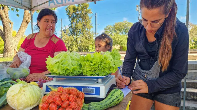 Placa-2025-12-30T073841.713-800x445