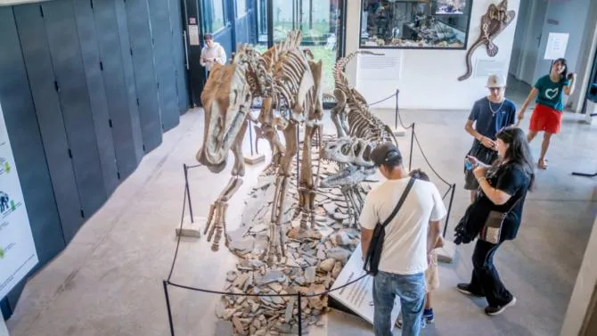 WhatsApp Image 2025-05-16 at 10.37.08