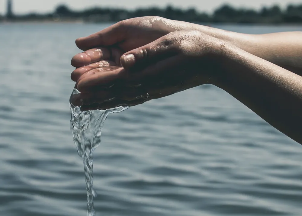 31.3 Día Nacional del Agua 2