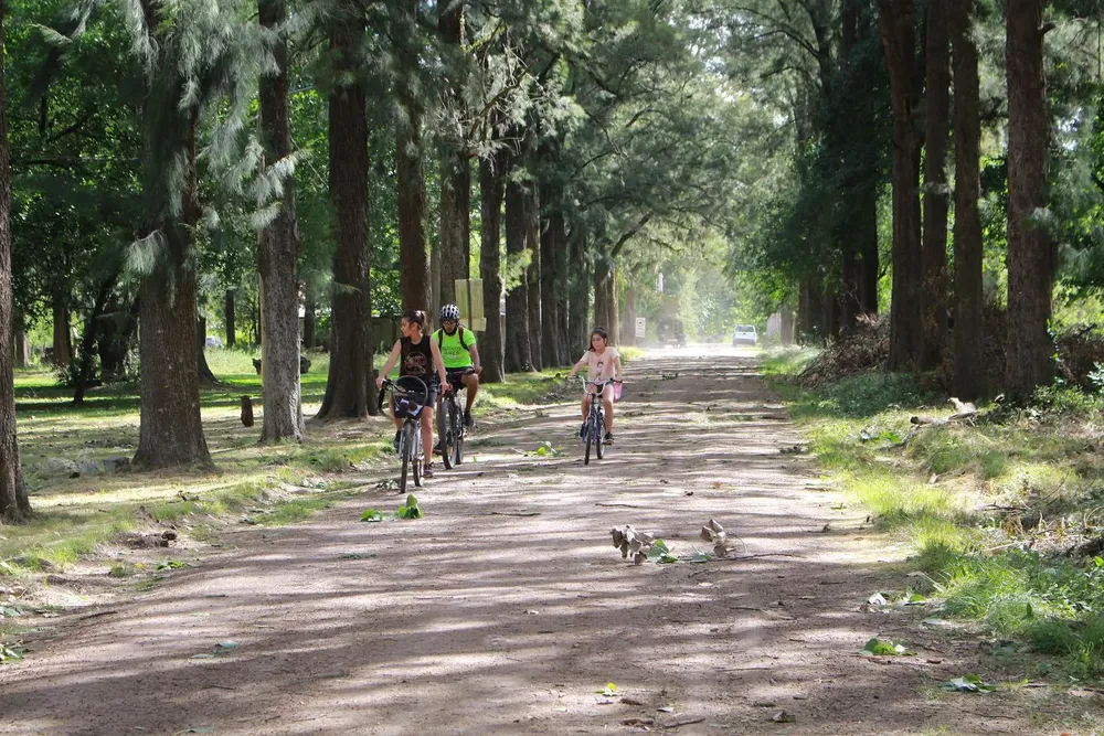 Reserva Municipal Los Robles 2