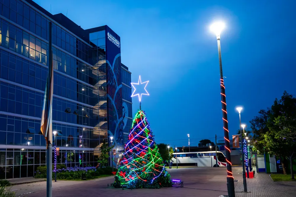 Berazategui ya luce su tradicional árbol navideño sustentable 1