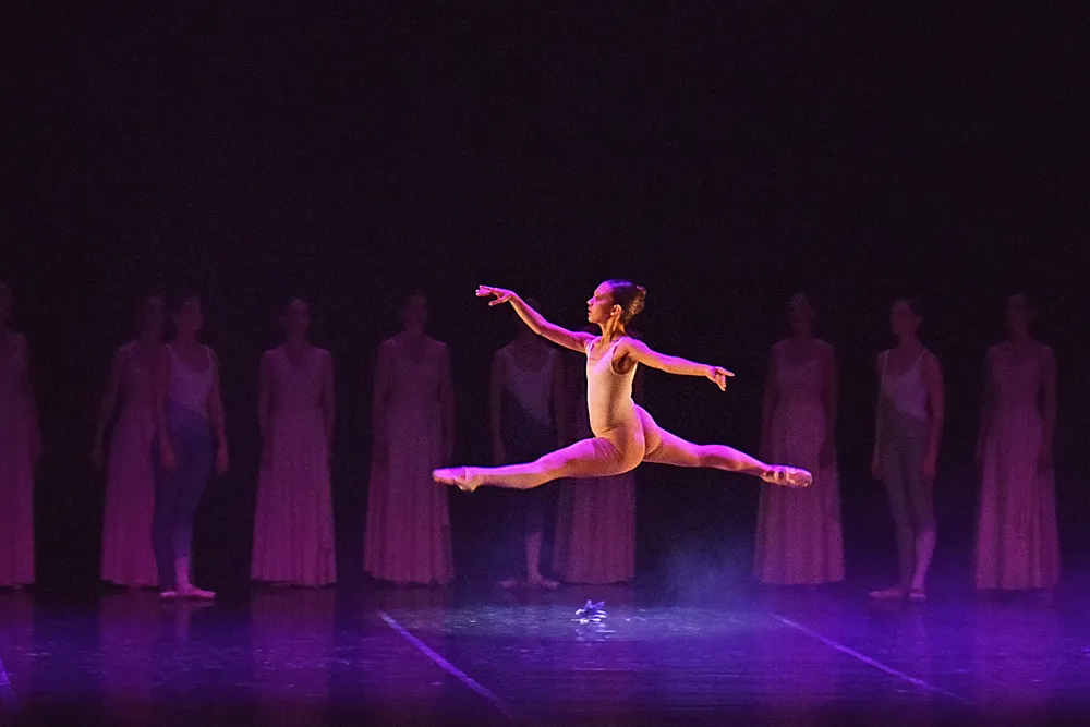 Flores para una elegía 2